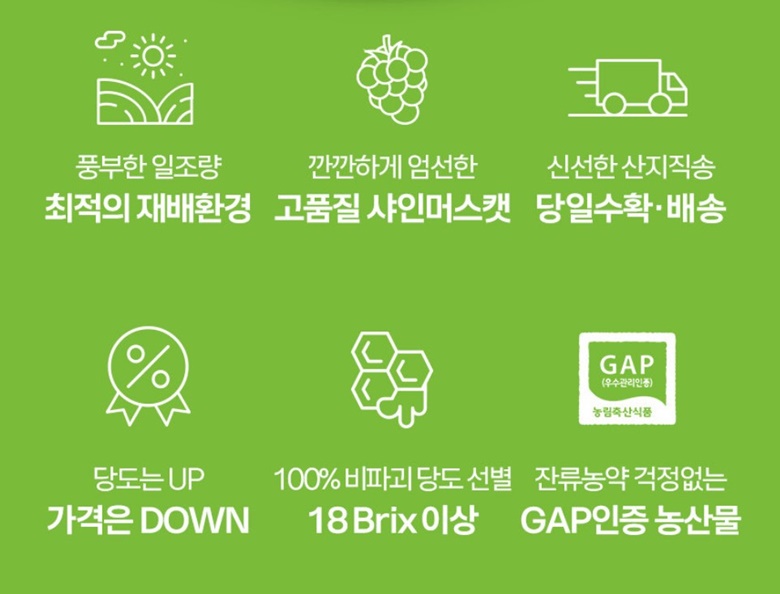 화면 캡처 2025-09-09 131049.jpg